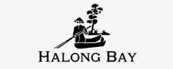 Ha Long Bay Tours & Activities